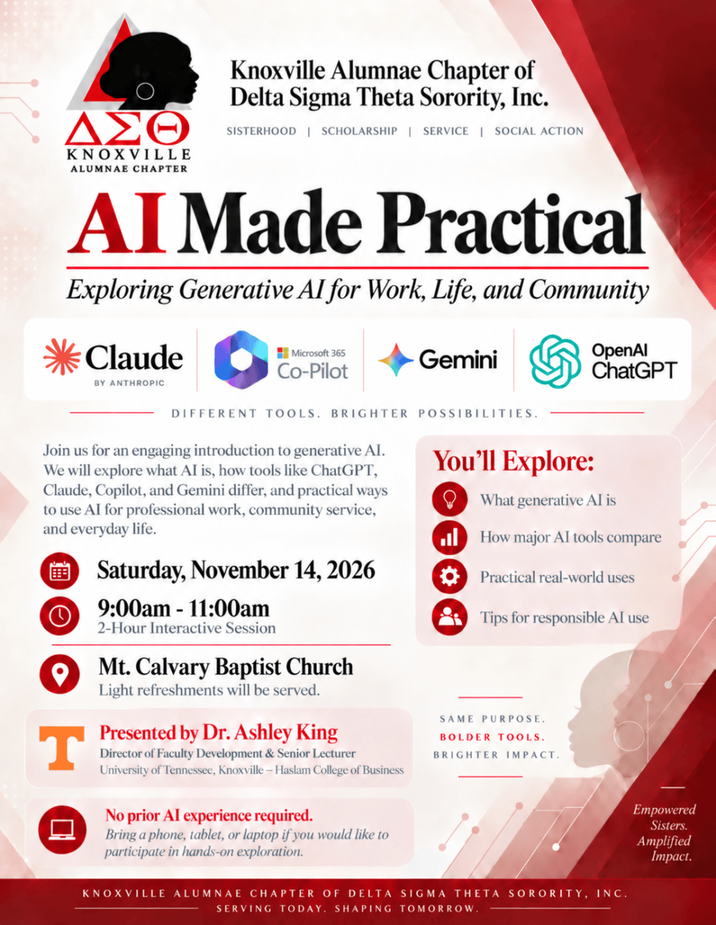 AI Made practical